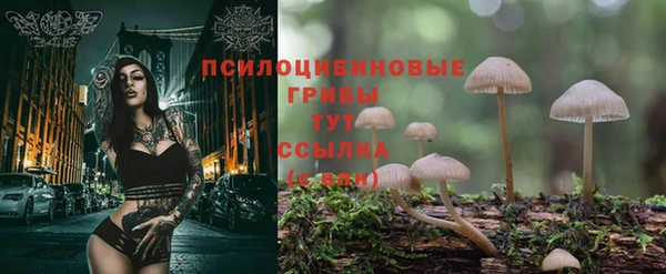 кокс Абаза